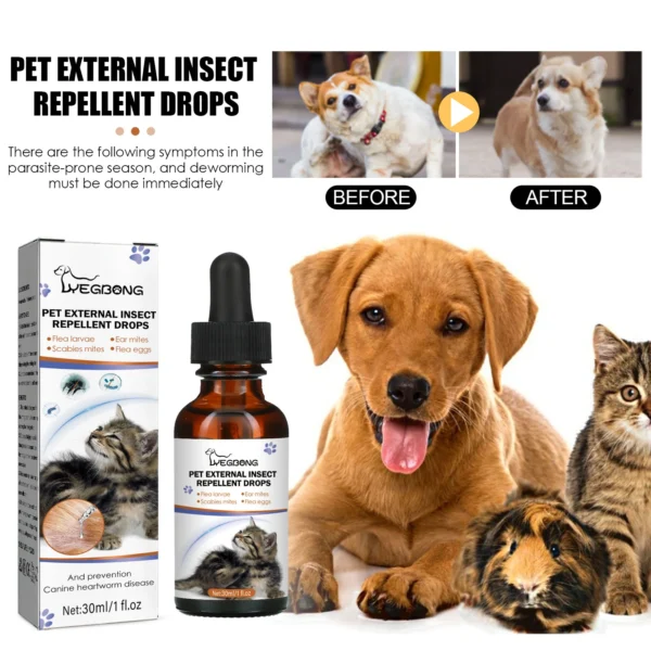 Cat Deworming Liquid: A Clear Answer to a Pressing Problem