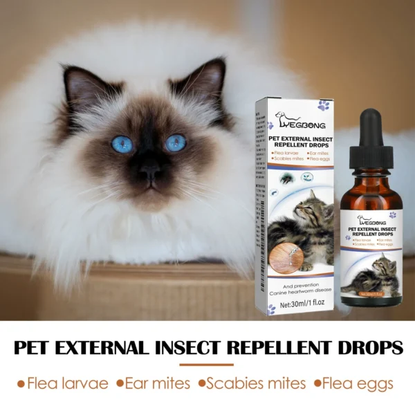 Cat Deworming Liquid: A Clear Answer to a Pressing Problem