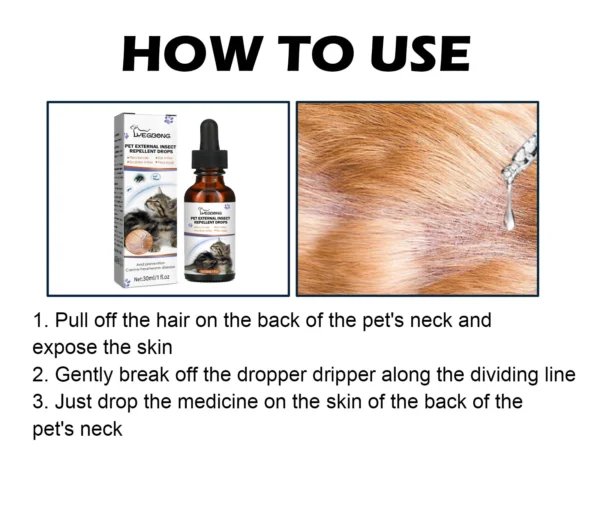 Cat Deworming Liquid: A Clear Answer to a Pressing Problem