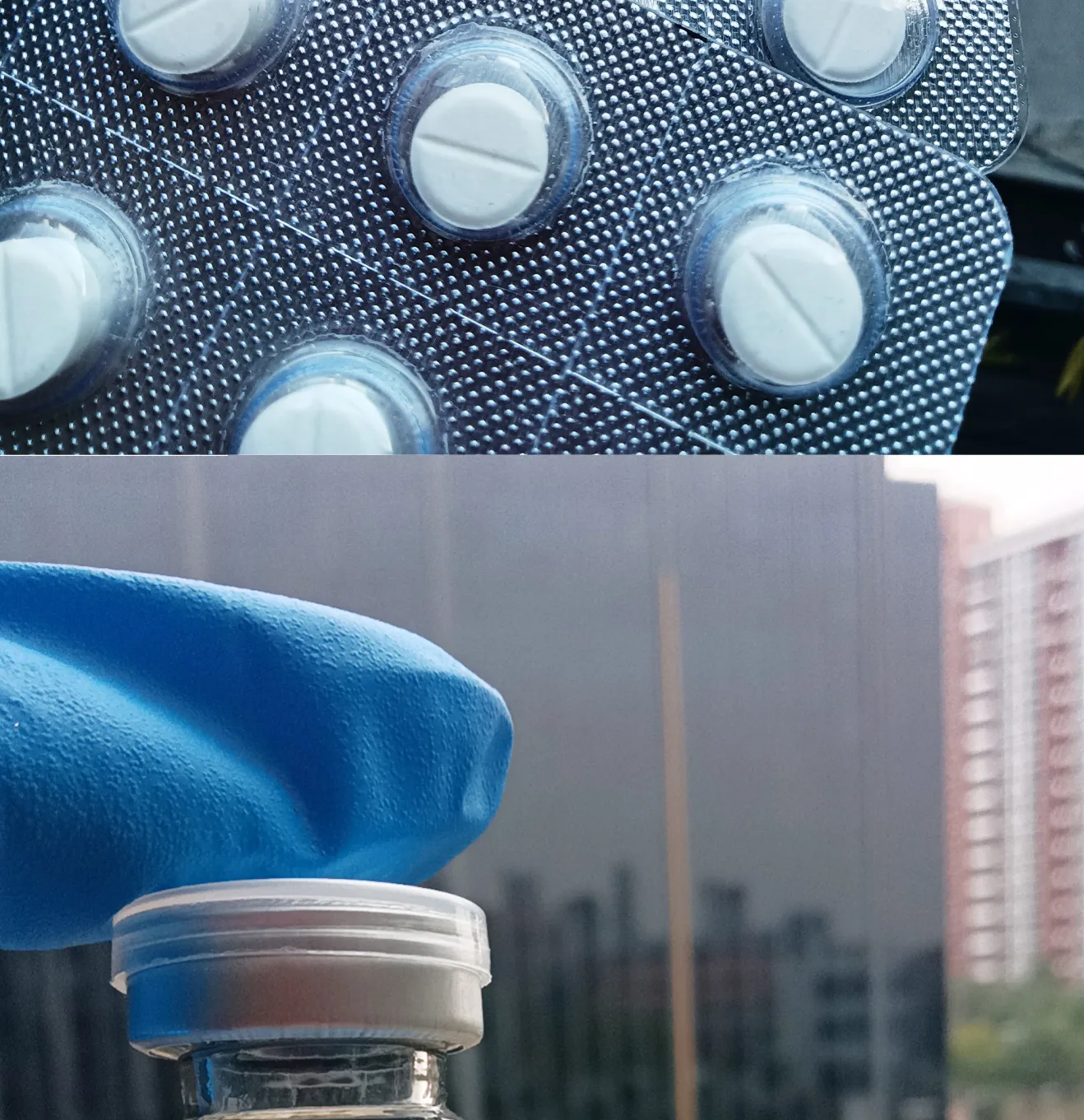 PetExist---Petexist---Buy-Online-GS-441524-Cat-FIP-Feline-Coronavirus-Treatment,-Pet-Armor-Flea-And-Tick,-Pet-Armor-Dewormer_14