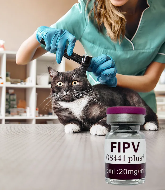 Petexist - FIP GS-441524 Cat FIP Feline Coronavirus Treatment, Pet Armor Flea And Tick, Pet Armor Dewormer