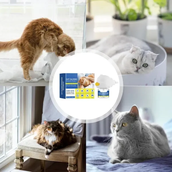 Cat Pheromone Refill Cat Calming Diffuser 45ml - Image 2