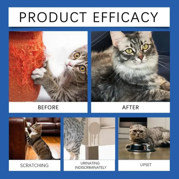 Cat Pheromone Refill Cat Calming Diffuser 45ml - Image 4