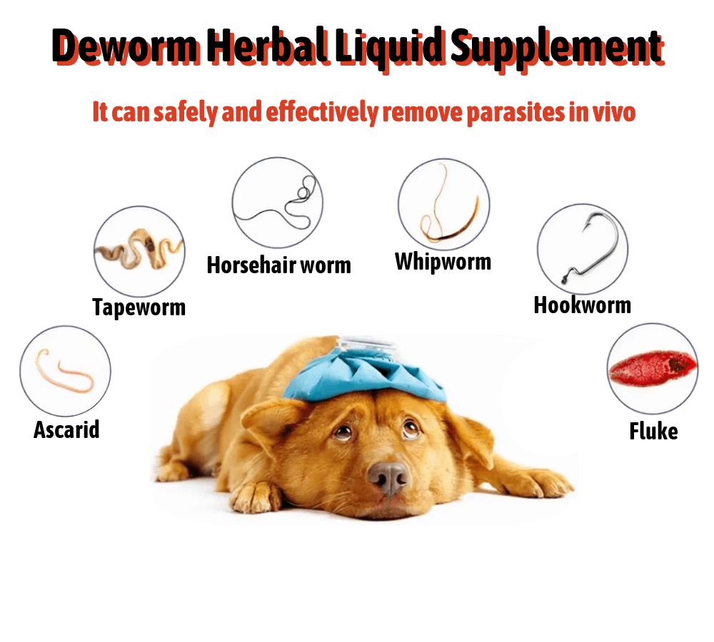 Nature Herbal Dog Liquid Dewormer From PetExist