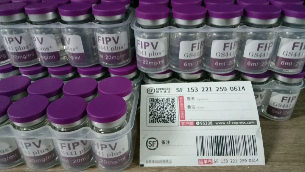 Final Stages Of FIP In Cats